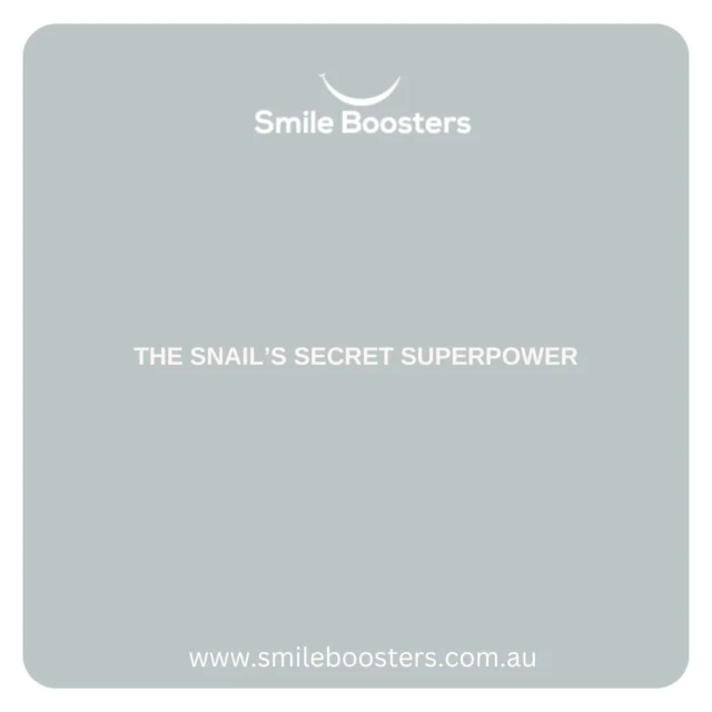 Some species of snails 🐌 have more teeth than you’d believe, over 20,000! They’re tiny, but we can’t imagine brushing all of them! 🦷⁠
⁠
🌐 www.smileboosters.com.au⁠
⁠
#ToothTrivia #FunFact #SmileMore #DidYouKnow #HealthyTeeth #SmileBoosters